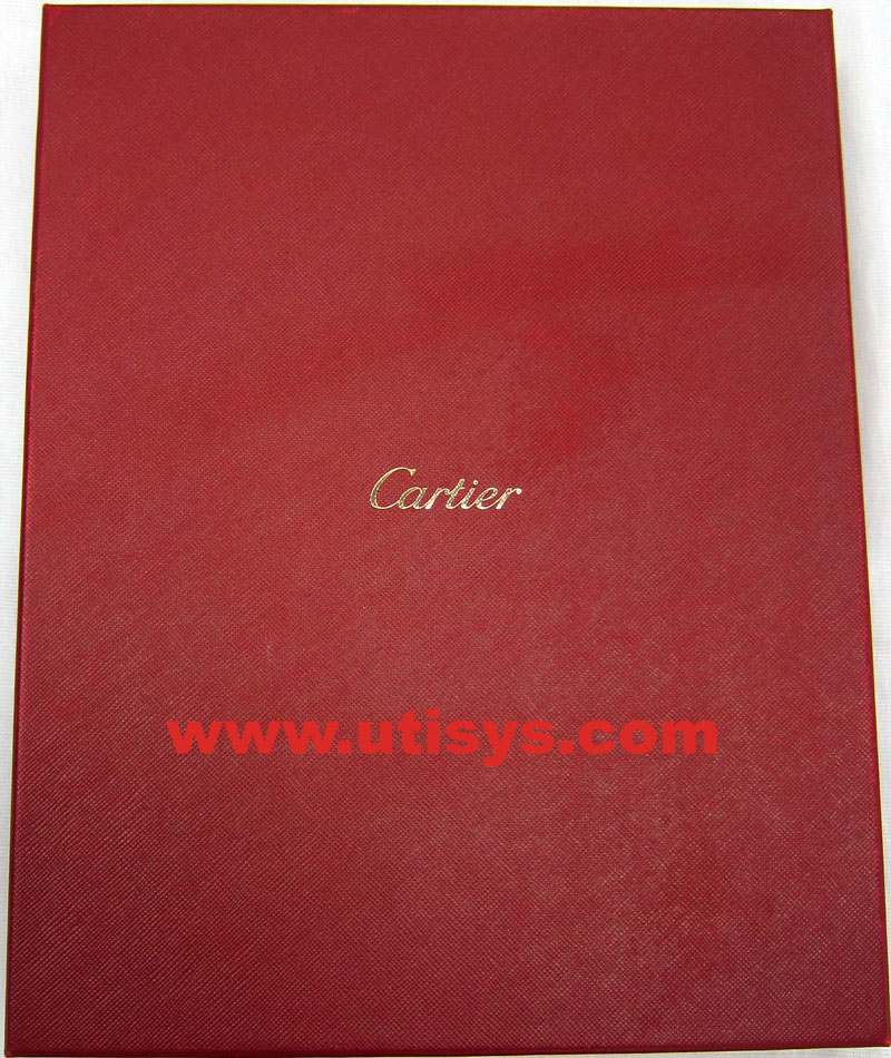 Cartier Apple iPad case